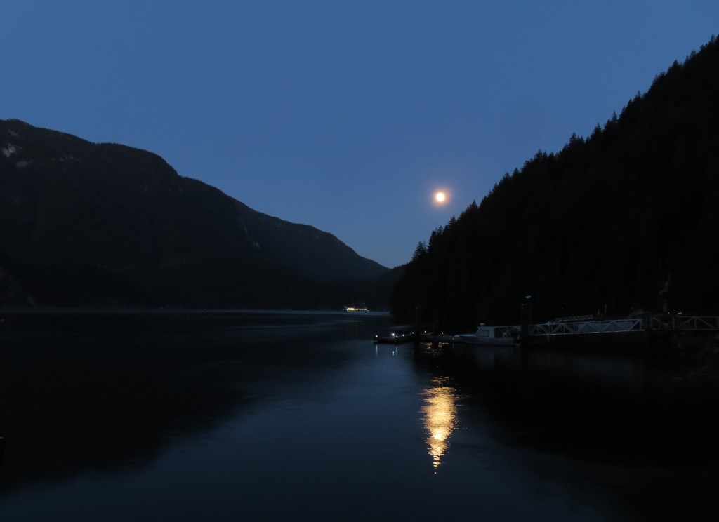 Continuing Loving Bonds Through&nbsp;Meditation